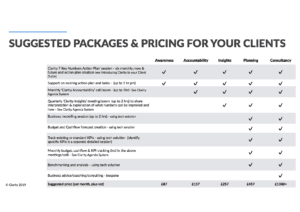 Clarity's suggested packages and pricing for delivery of advisory services