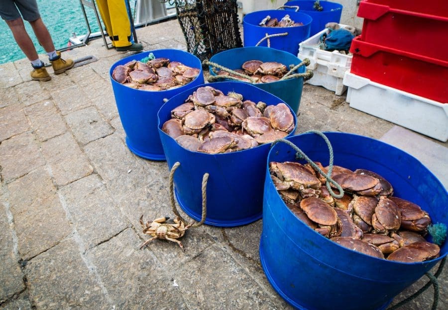 Crab theory and achieving your goals